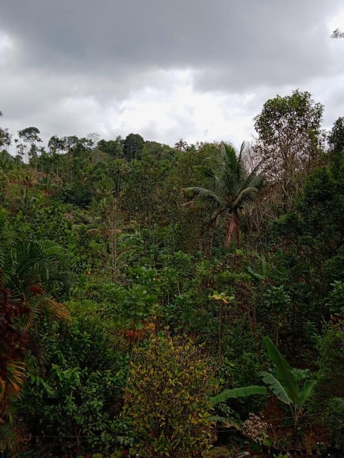 Maliyeckal Homestay Муннар Экстерьер фото