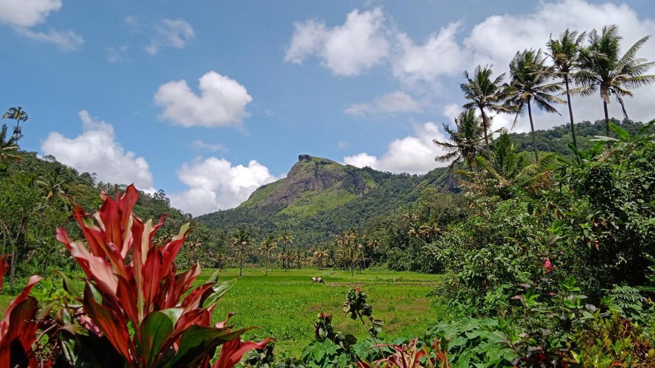 Maliyeckal Homestay Муннар Экстерьер фото