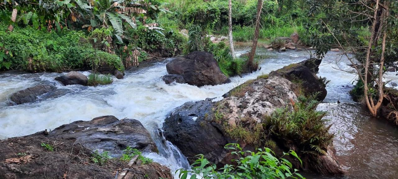 Maliyeckal Homestay Муннар Экстерьер фото
