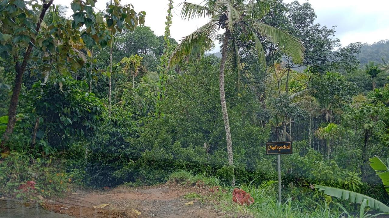 Maliyeckal Homestay Муннар Экстерьер фото