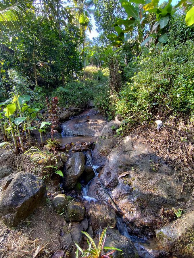 Maliyeckal Homestay Муннар Экстерьер фото
