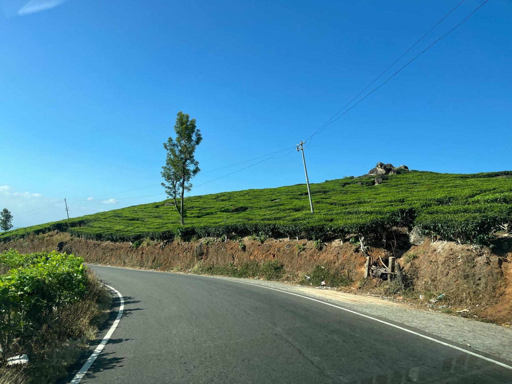 Maliyeckal Homestay Муннар Экстерьер фото
