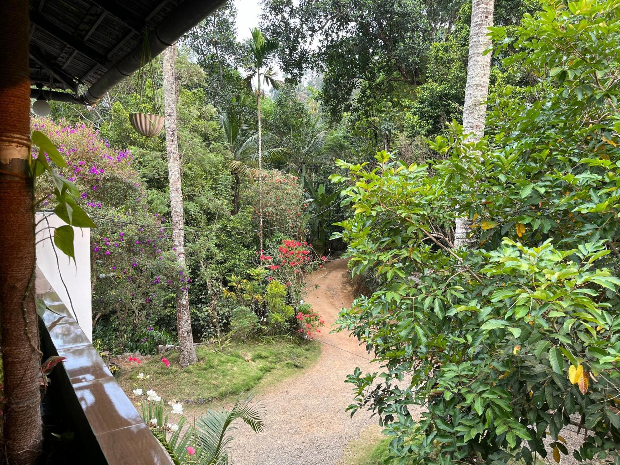 Maliyeckal Homestay Муннар Экстерьер фото